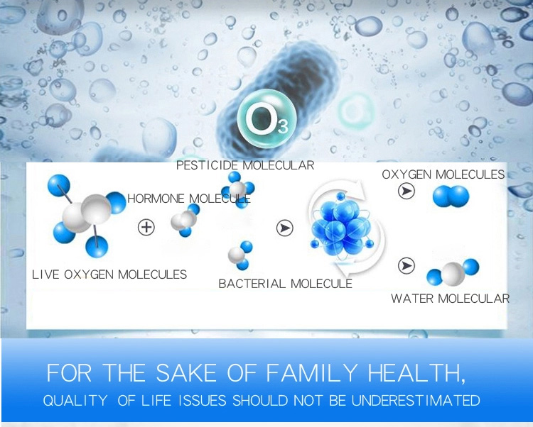 HOMEFISH Commercial Air Purifier Kitchen Use Active Oxygen Fruit And Vegetable Sterilizing Machine 400mg/H