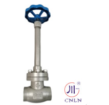 SS Stainless Steel Turky Cryogenic Globe Valve Customize Pressure CE / ISO9001 Approved