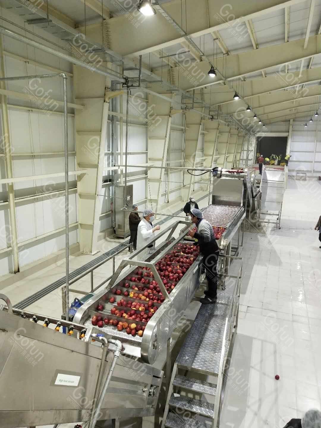 Apple sauce processing complete set of machines specially customized for food processing plants