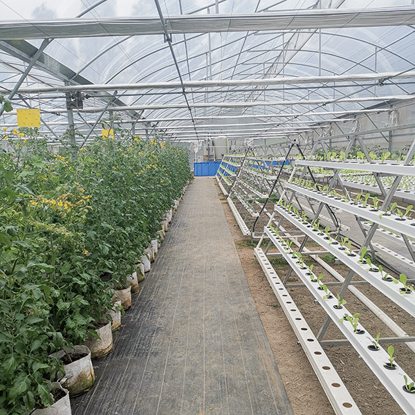 Vertical NFT Hydroponics System With Food Grade PVC Channel Space Saving