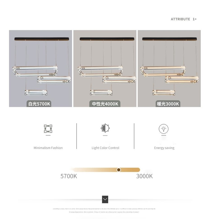 Art Modern Minimalist Waltz Chandelier 3000K/4000K/5700K+3000K