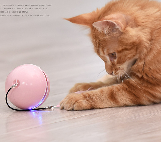 usb cat toy ball