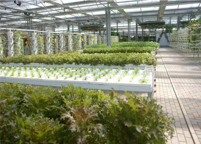 Plastic Film Low Cost Greenhouse , Hydroponic Plastic Greenhouse Accessible To Remove