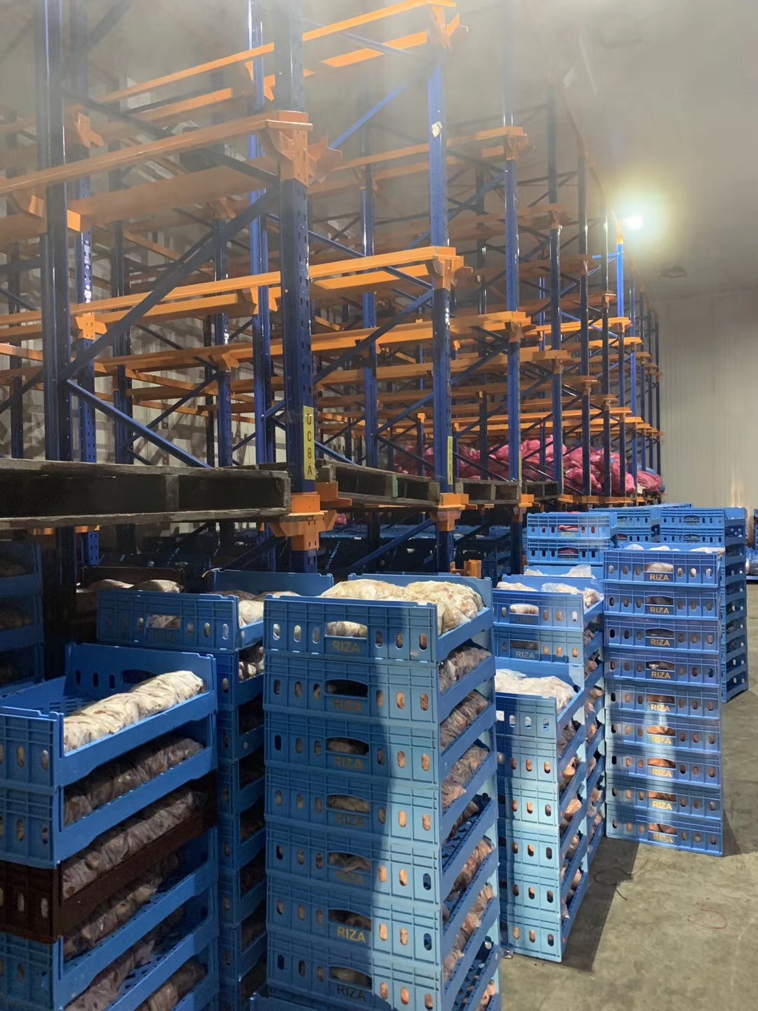 Energy Saving Big Capacity Walk In Cold Storage Room For Vegetables / Fish