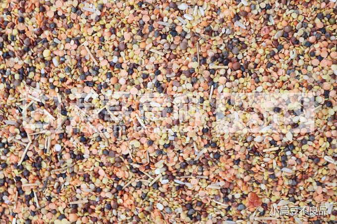 New Type 504 Channels Intelligent Lentils CCD Colour Sorter Manufacturer