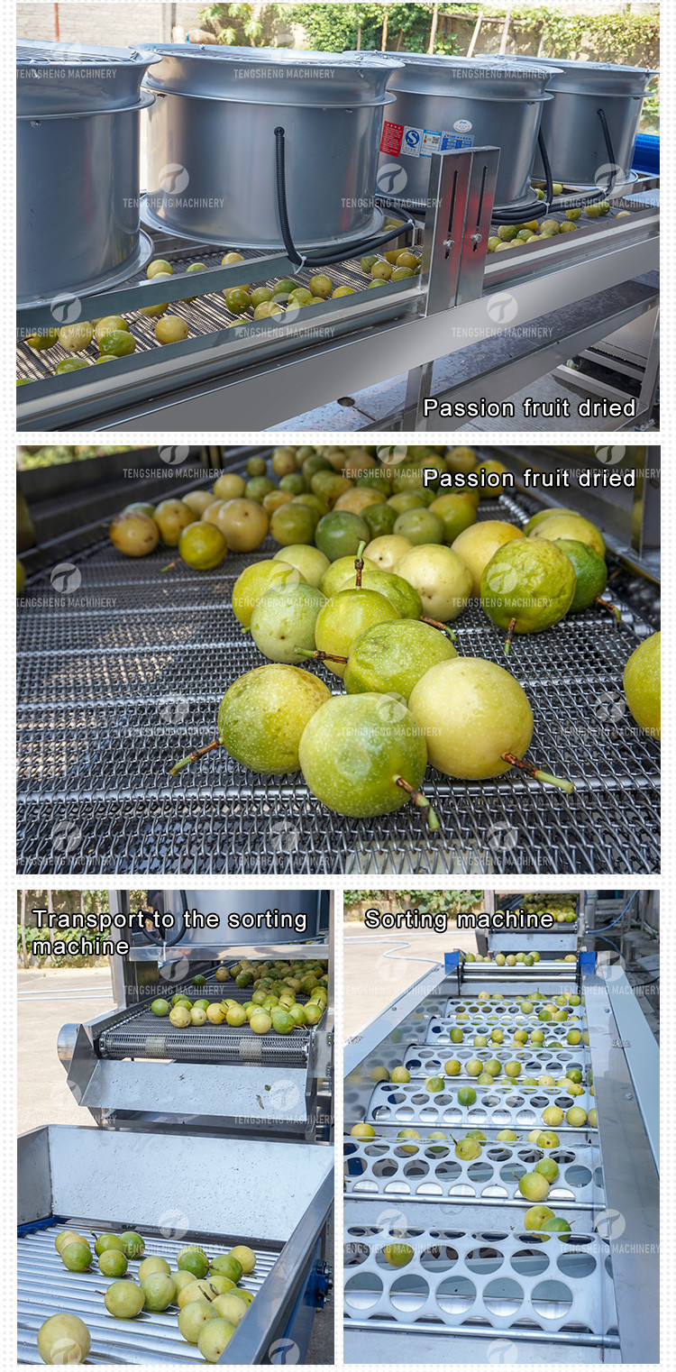 380V Fruit And Vegetable Processing Line Fully Automatic Cleaning Drying Grading