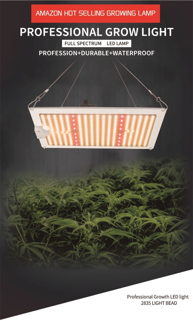 Blue Waterproof IP65 AC240V Hydroponic Grow Light