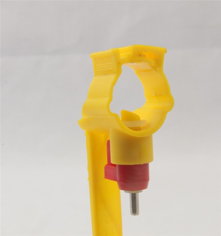 Automatic poultry nipple drinking system for livestock QL204