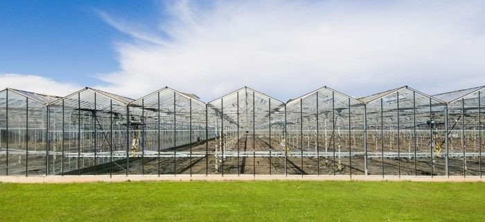 Large Prefabricated Outdoor And Indoor Backyard Glass Greenhouse For Flower Growing