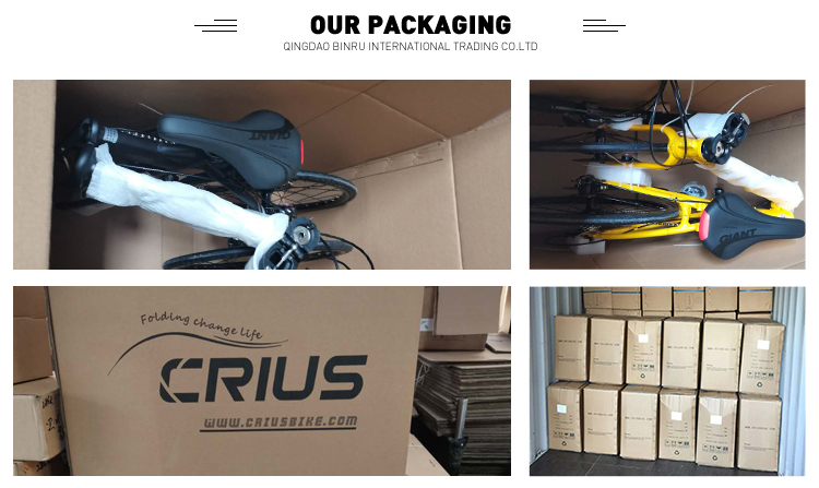 Crius Most Popular 14 Inch Foldable Exercise Road Bike Lightweight And Easy To Carry