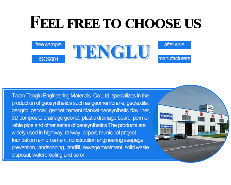 12.7*12.7mm and 25.4*25.4mm Mesh Size Uniaxial Plastic Geogrid for Roadbed Construction
