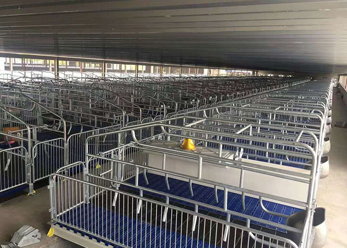 Hog Piggery Piglets Plastic Slatted Flooring For Nursery Farrowing 200kgs/Pcs Loading