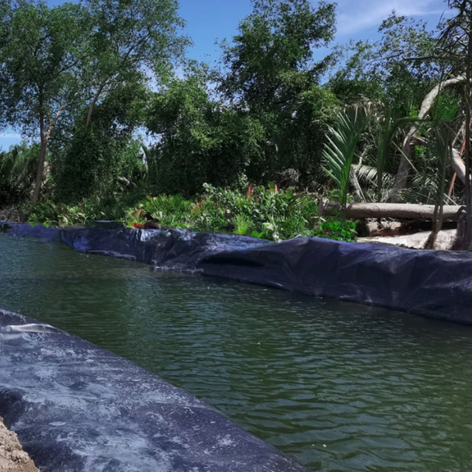 Smooth or Textured Surface HDPE Geomembrane Pond Liner for Dam Project in South Africa