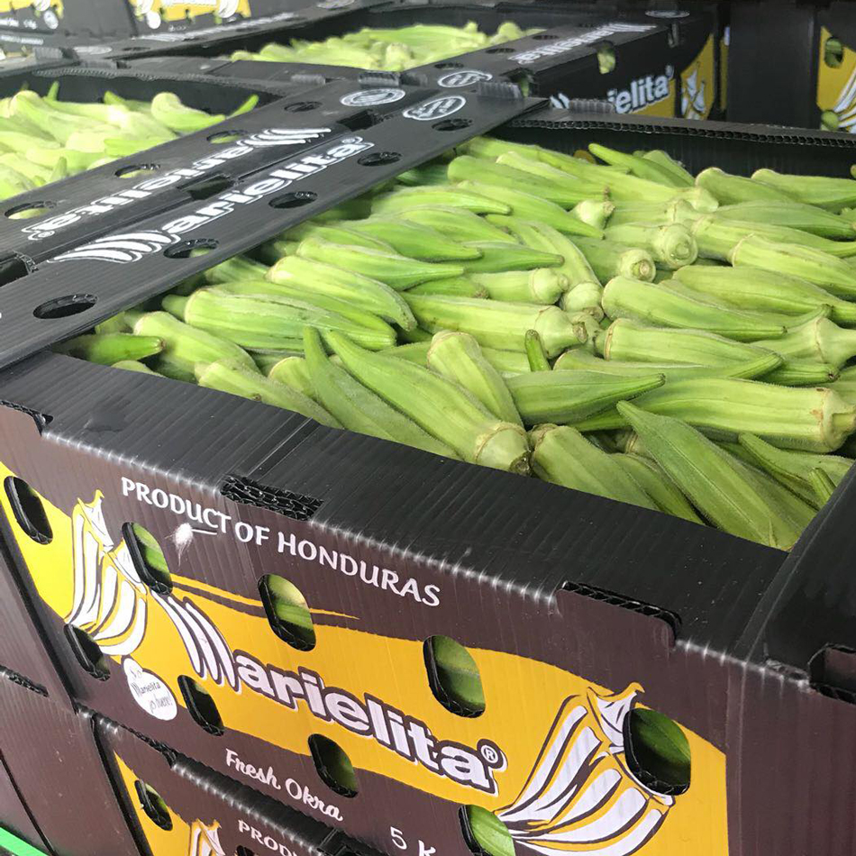 Corn Corflute Box Vegetable Corrugated Boxes Recyclable Custom Size