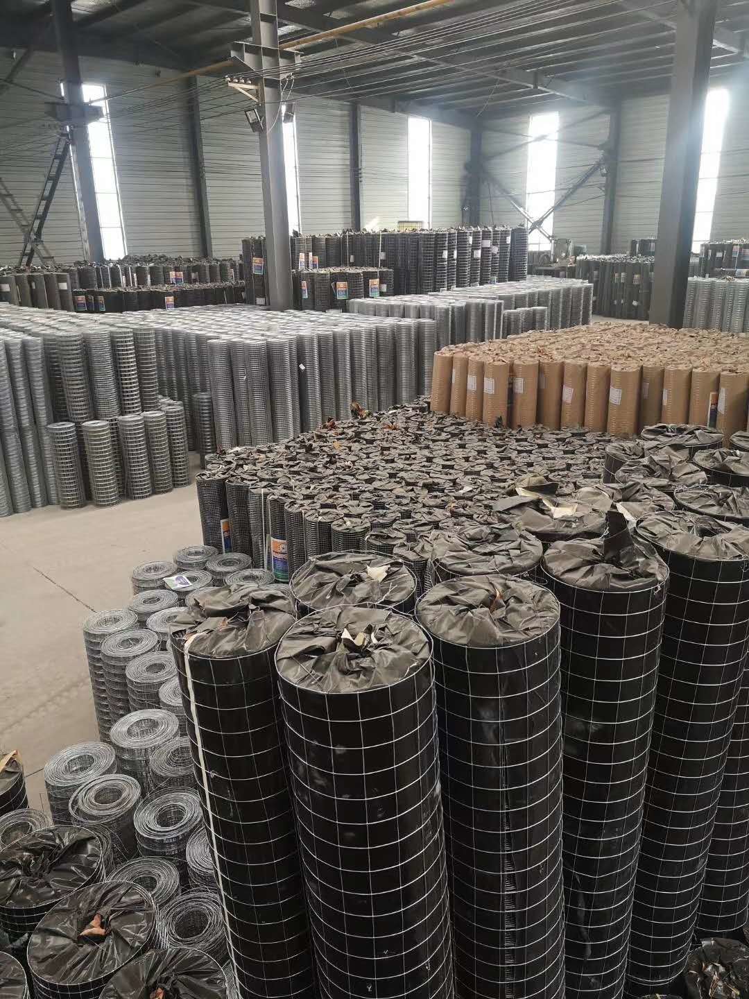 Silver Color 0.5mm Galvanized Welded Wire Mesh Rolls For Cages And Fence