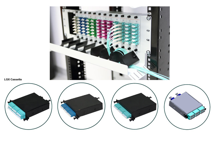 12 Fiber OM5 50/125 Multimode MPO MTP Cassettes Type A Polarity Fiber Cassette Module
