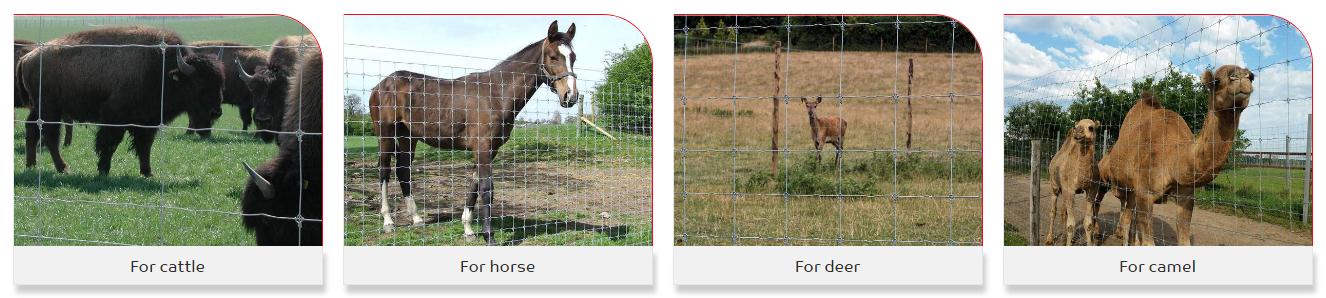 fixed knot fence