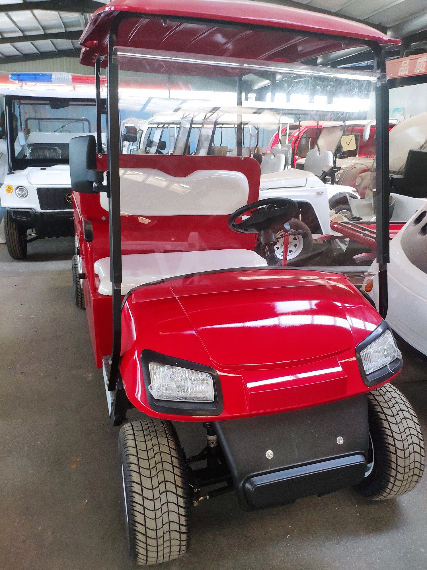 Buggy Cart 2 Seater 12 Inch Golf Utility Cart Electric With Cargo Box Vehicle With Alloy Wheel