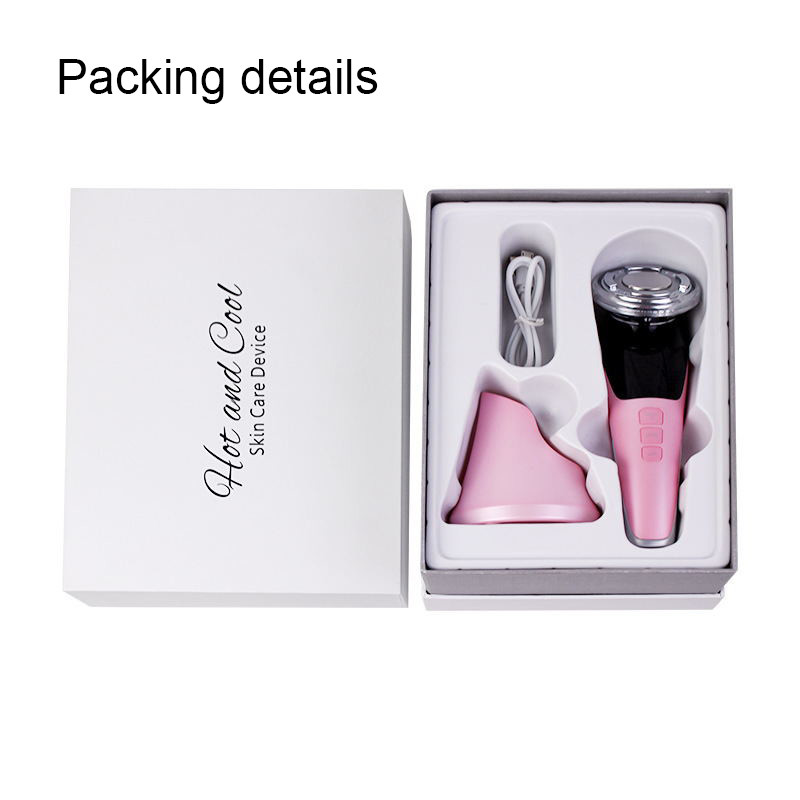 Professional Galvanic Massage 2 In 1 EMS Beauty Device