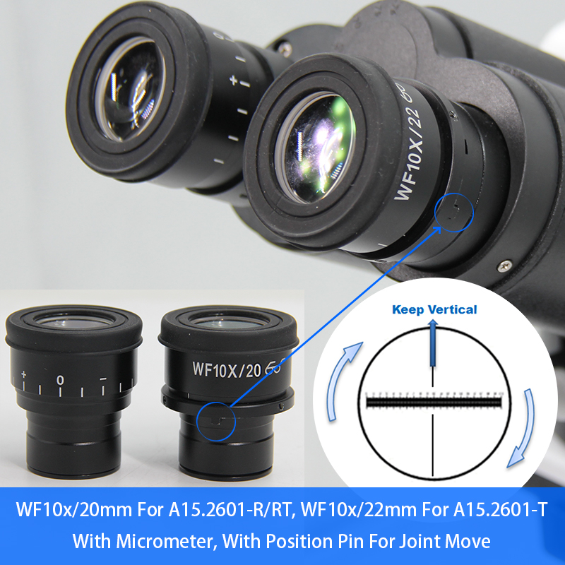 Polarizing Microscope Transmitting Light