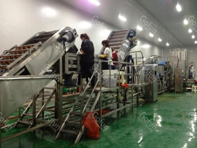Industrial Mango Processing Line For Mango Juice Jam Stainless Steel machine 5 t/h