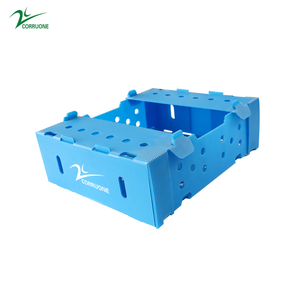 Corn Corflute Box Vegetable Corrugated Boxes Recyclable Custom Size