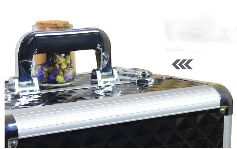 Hard Shell Aluminum Storage Case Fashion Style For Cosmetic Storage