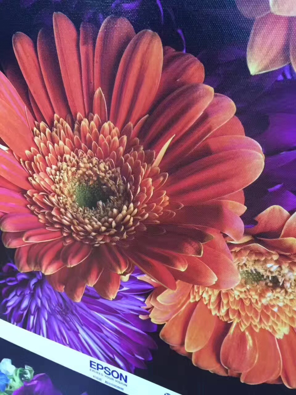 240g Inkjet Printable Canvas