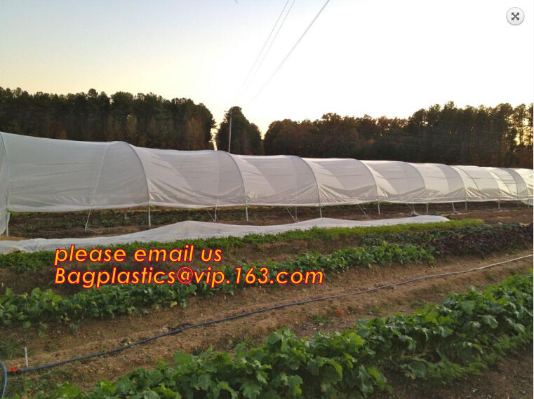 100% new HDPE insect mesh / anti bird net for apple trees,greenhouse anti insect net for plant, agriculture net Anti-ins