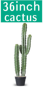 Artificial Cactus