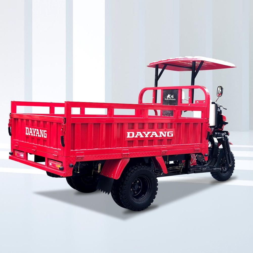Unleash the Power of DAYANG DY-H8 250cc/300cc/350cc Tricycle in Africa with 12V Engine