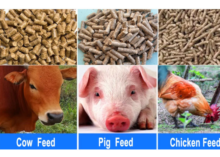 320r/Min 400kg/H Chicken Feed Pellet Making Machine OEM Available