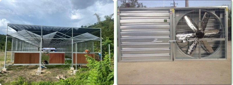 New Material Uv Protection PC Panel Greenhouse For Growing Vegetables