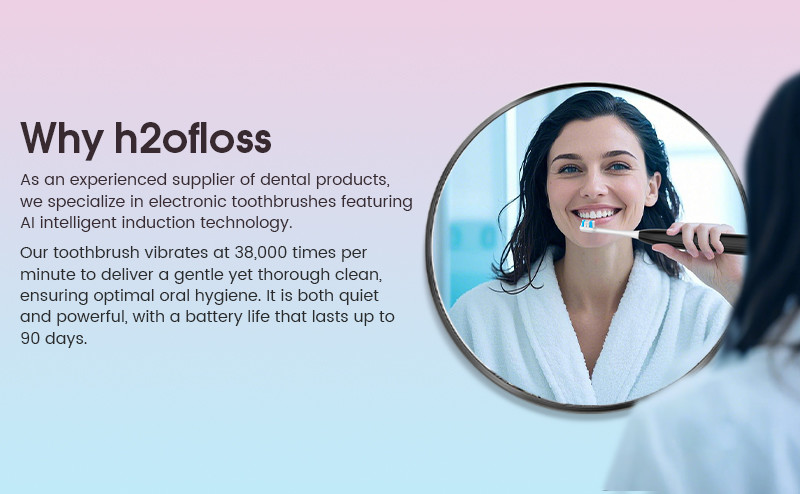 Custom Rechargeable Electric Toothbrush Supplier Cheap Bulk for Travel and Teeth Whitening