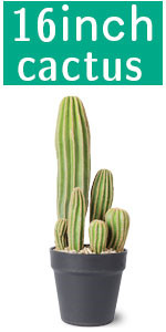 Artificial Cactus