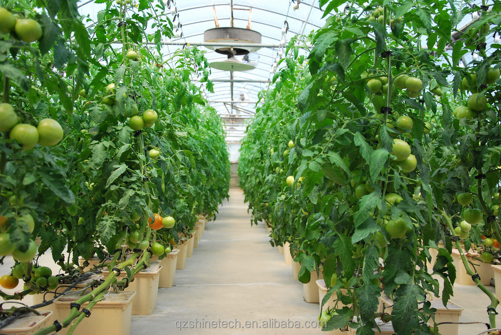 30*25*23cm Dutch Bucket Complete Hydroponic Growing System For Tomato Cucumber Pepper