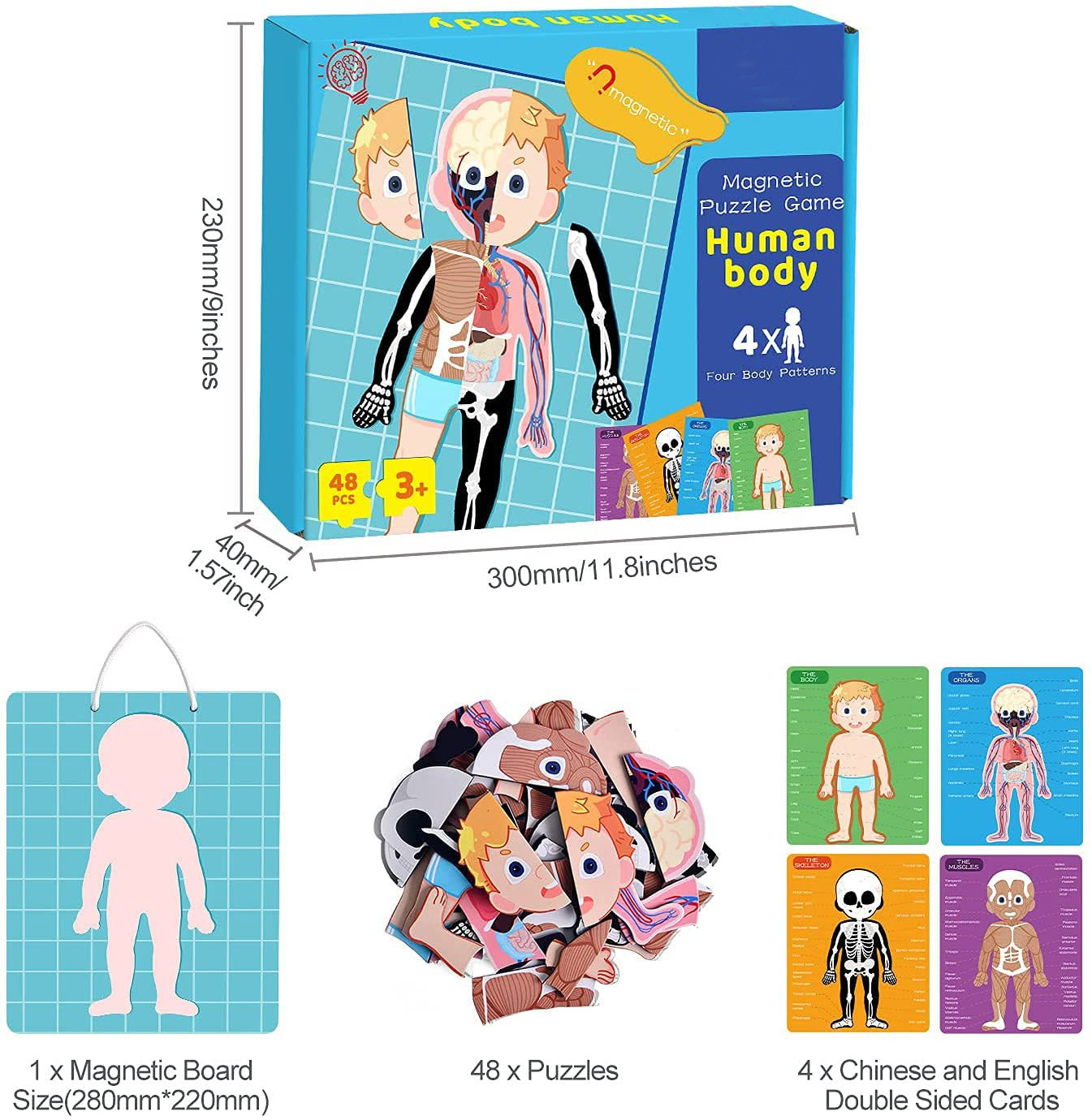48pcs Educational Magnetic Human Body Jigsaw Puzzle Toys For 3 Year Old Toddler
