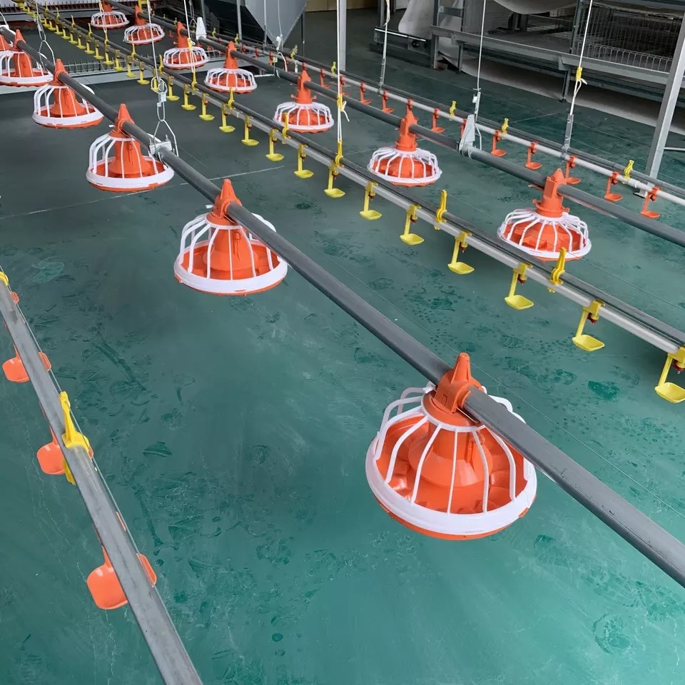 Galvanized Pipe Poultry Farming Machine Pan Feeding System Diameter 45mm