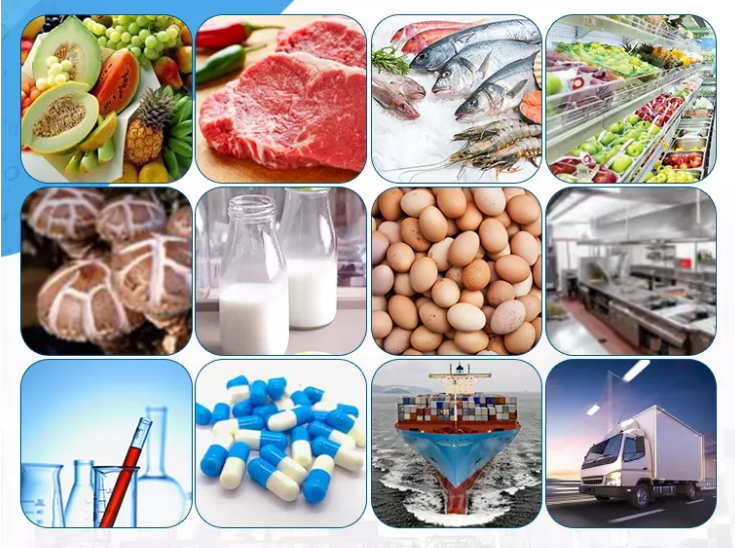 Vegetables Cold Room Freezer Walk In Cold Storage Units For Keep Fresh Fruits Fish Transportation
