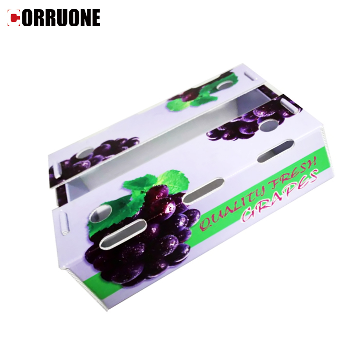 PP/PE plastic box for Fruits and vegetables