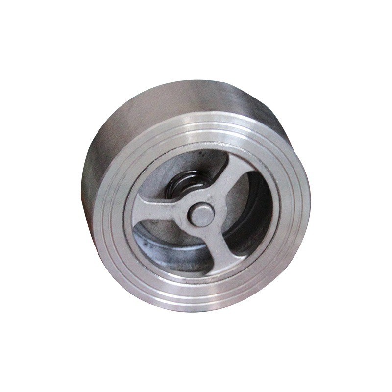 201/304 Stainless Steelpair Clip Lift Check Valve for Water Pump Hard Sealed