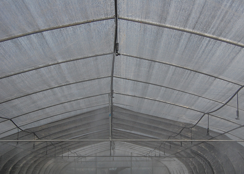 Anti Corrosion Single Span Greenhouse High Tunnel Agriculture Greenhouse With Irrigation System