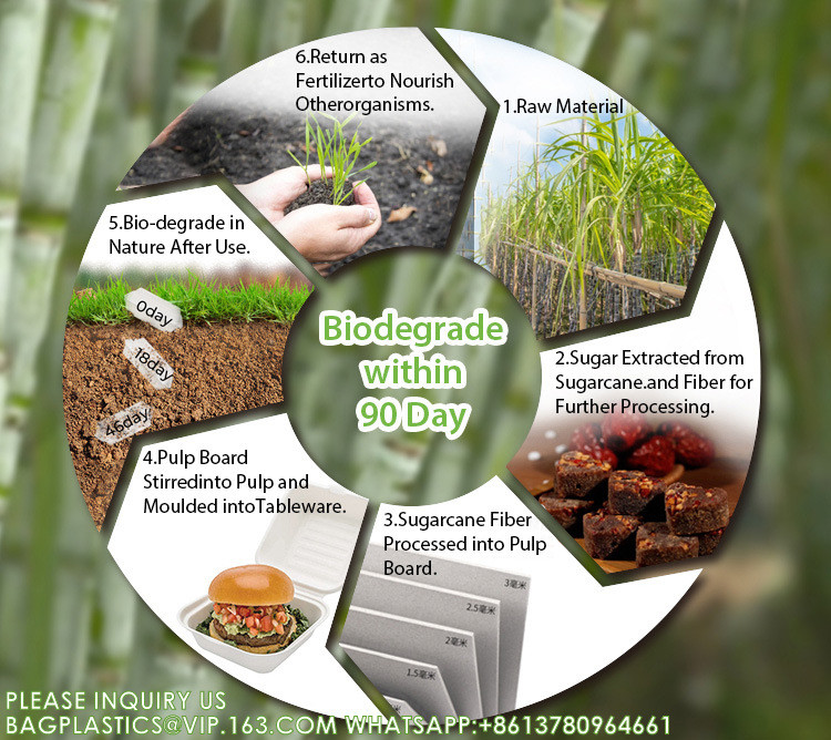 Compostable Sugarcane Bagasse Paper Round Plates 9 Inch 9" Greaseproof And Microwavable PFAS Disposable Plates