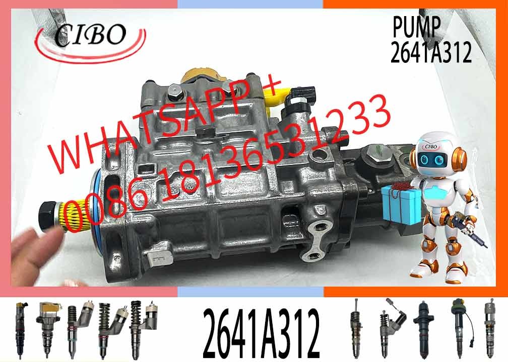 Diesel engine parts for C6.6 fuel injection pump 2641A312 3178021 317-8021 10R7660 10R-7660
