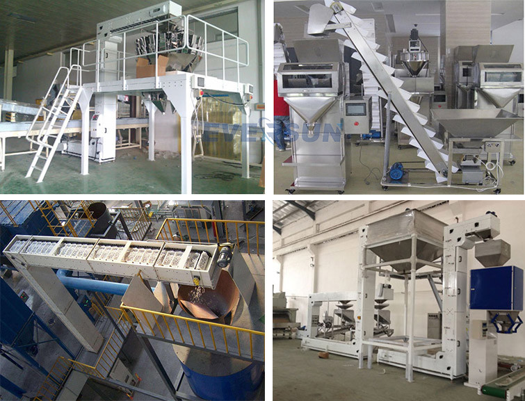 Carbon Steel Chain Type Hoist Z Shape Bucket Elevator / Assembly Line
