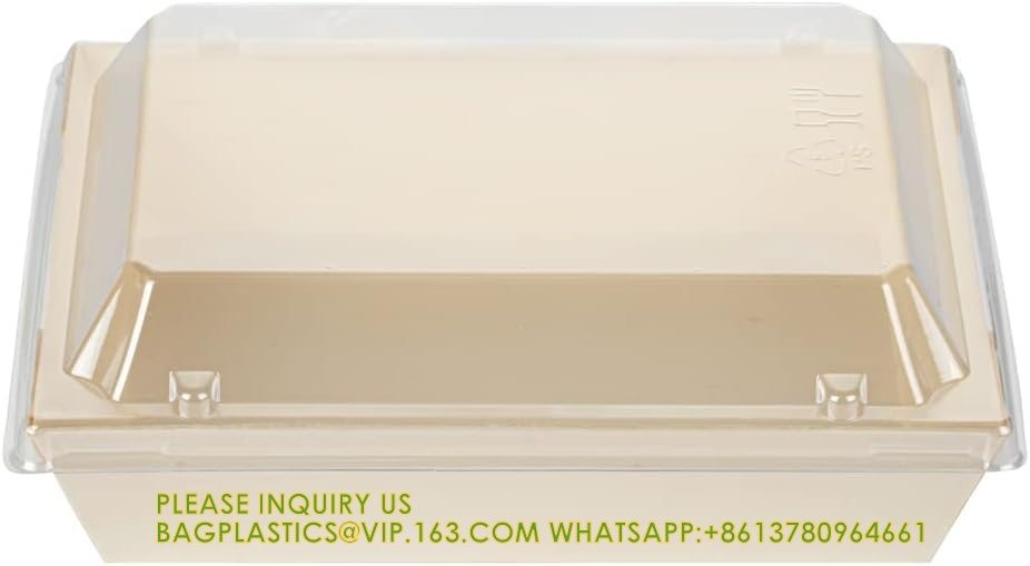 20 Ounce Compostable Food Containers, Rectangle Wooden Bento Boxes - Flare, Grease Resistant, Natural