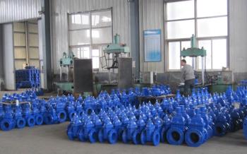 Hebei Huahui Valve Co., Ltd
