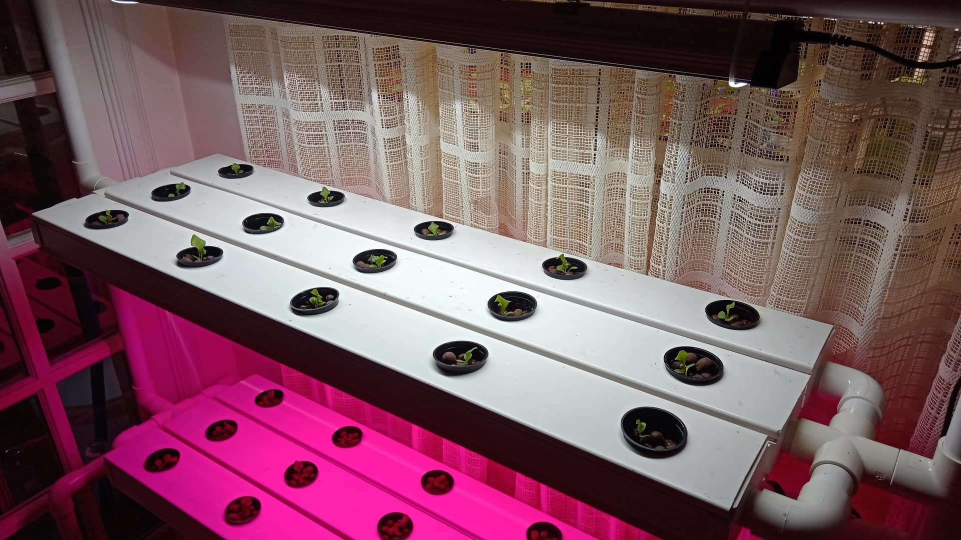 Horticulture T5 Flowering Bulbs , Hydroponic Indoor Led Grow Lights For Lettuce