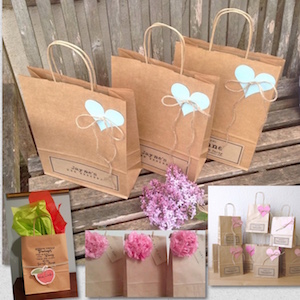 art craft bag Kraft bags Brown bags gift bags giftbag paper bag with handles bulk paper bags store