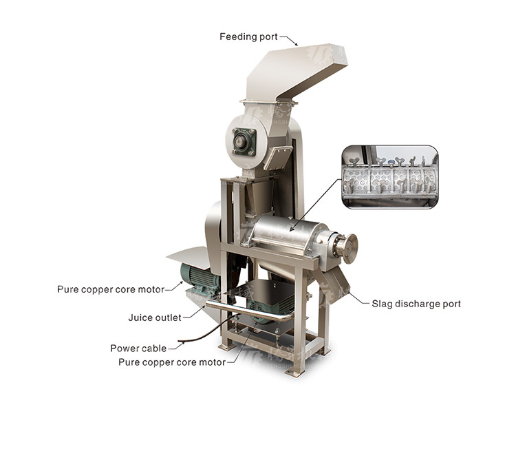 Commercial 2.6KW Fruit And Vegetable Processing Line Bubble Cleaning Juicing Machine